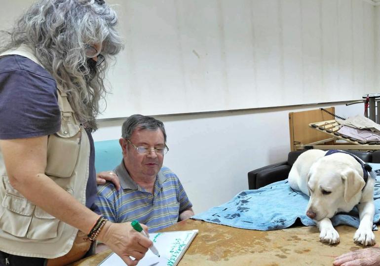 Os nossos amigos patudos já fazem parte da família :) 
